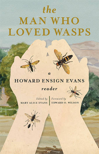 The Man Who Loved Wasps