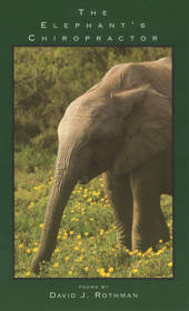The Elephant's Chiropractor